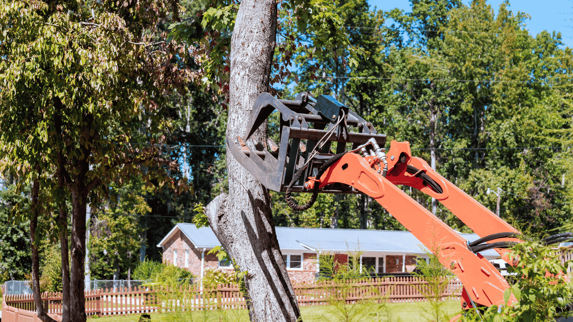 heavy equipment removing large tree from residential property Dallas Fort Worth