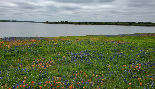 Ellis County, TX