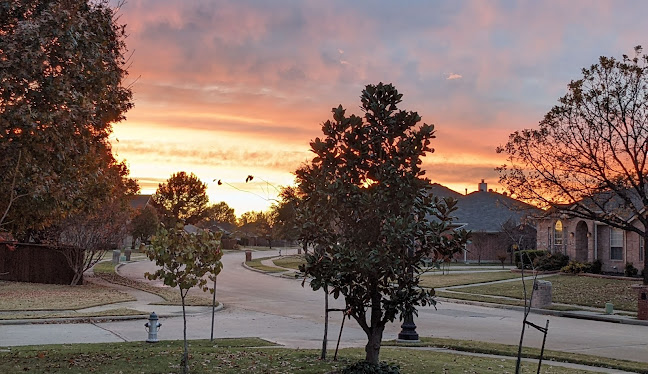 Murphy, TX