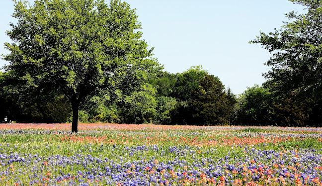 Midlothian, TX